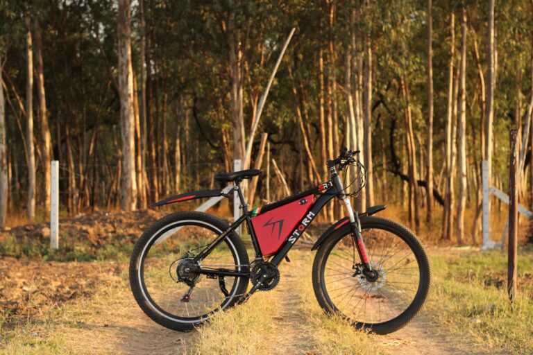 stormautomobile-electric-bike-5167701 red e-bike