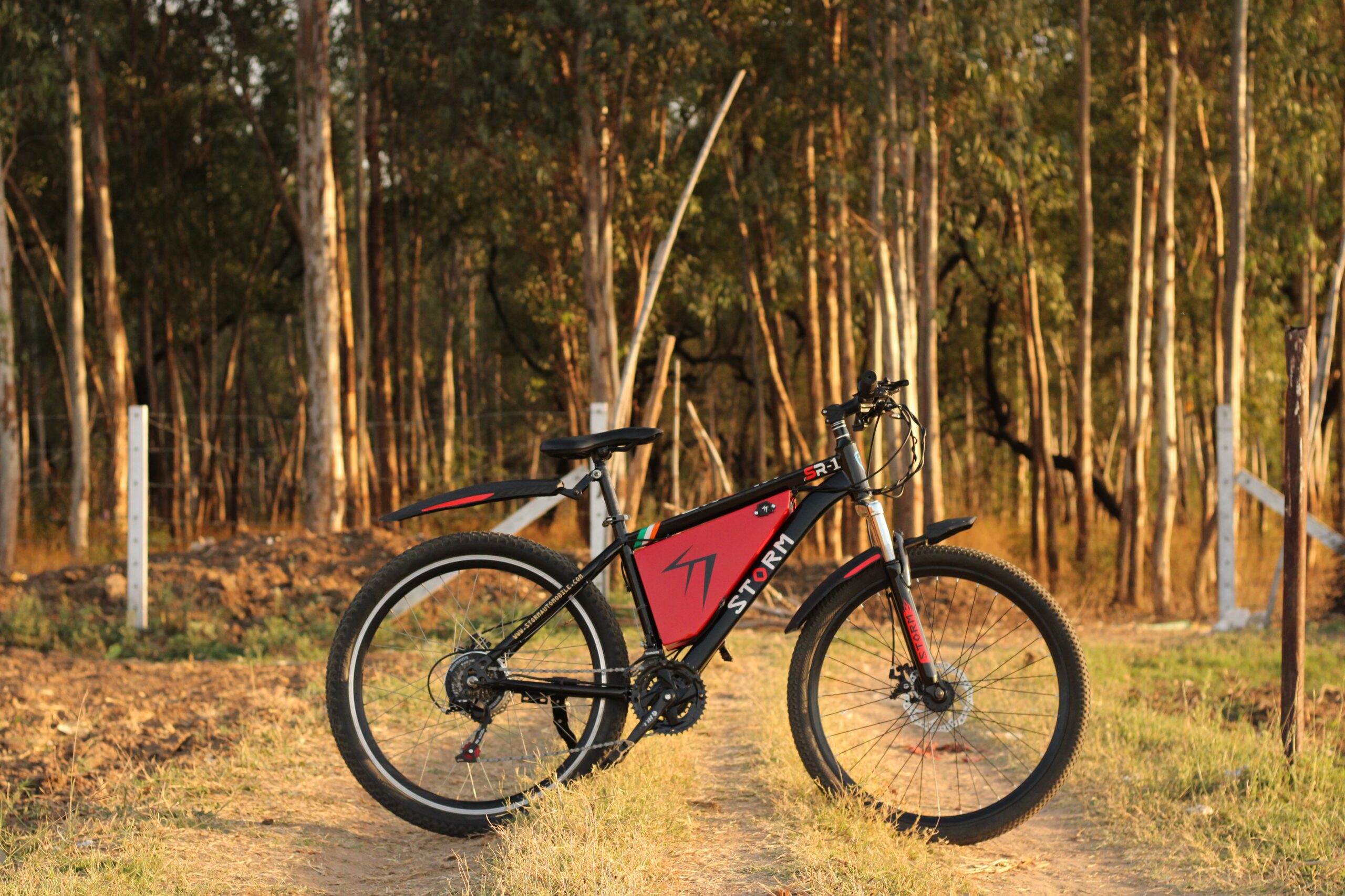 stormautomobile-electric-bike-5167701 red e-bike